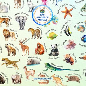 Personalized Peek-a-Boo Animal Safari Sensory Quiet Book + Personalized Animal Safari World Map with A3 Animal Quest Poster