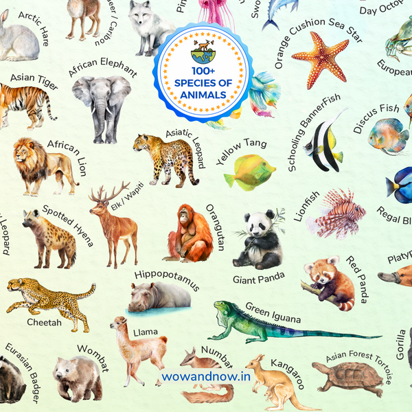 Load image into Gallery viewer, Personalized Animal World Map Wall Art with The Animal Quest Poster