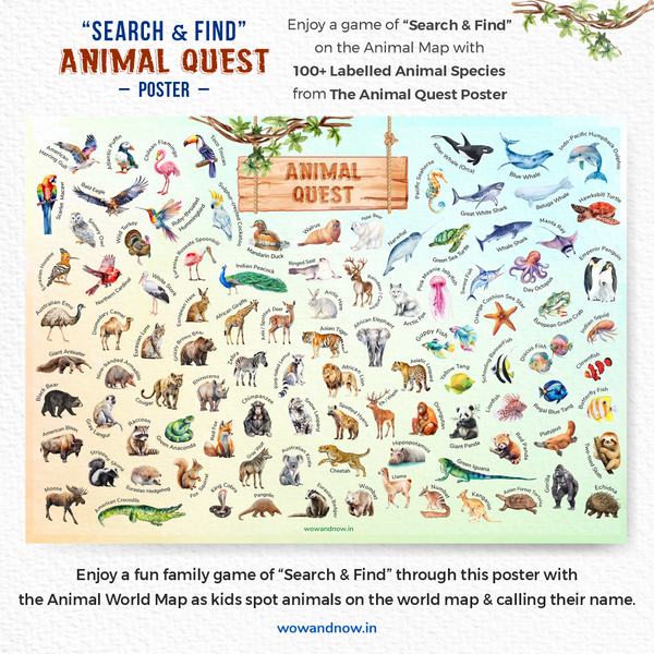 Load image into Gallery viewer, Personalized Peek-a-Boo Animal Safari Sensory Quiet Book + Personalized Animal Safari World Map with A3 Animal Quest Poster
