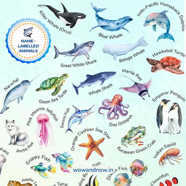 Load image into Gallery viewer, Personalized Peek-a-Boo Animal Safari Sensory Quiet Book + Personalized Animal Safari World Map with A3 Animal Quest Poster