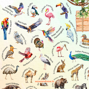 Personalized Animal World Map Wall Art with The Animal Quest Poster