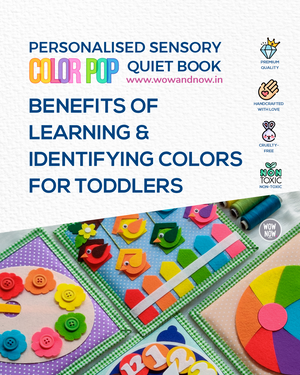 Color Pop Sensory Quiet Book - Montessori Inspired