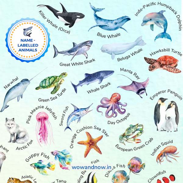Load image into Gallery viewer, Personalized Animal World Map Wall Art with The Animal Quest Poster
