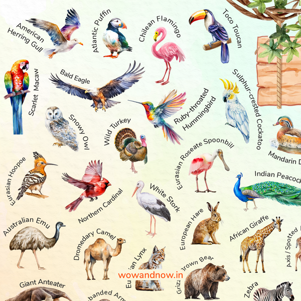 Load image into Gallery viewer, Personalized Animal World Map Wall Art with The Animal Quest Poster
