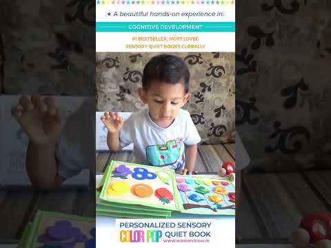 Load and play video in Gallery viewer, Personalized Montessori Sensory Busy Activity Book for Toddlers | Quiet Book with Colors, Shapes, Learning Numbers &amp; Counting

